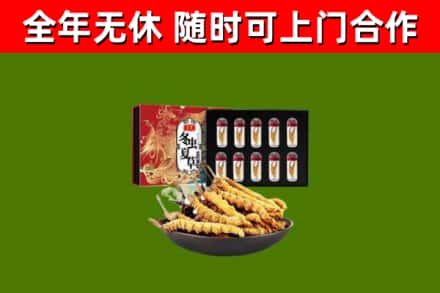 大通烟酒回收冬虫夏草礼盒.jpg